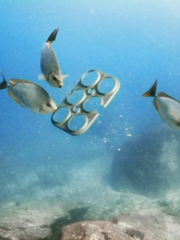 WWF cùng Việt Nam chống ‘ô nhiễm trắng’, bảo vệ sinh vật biển