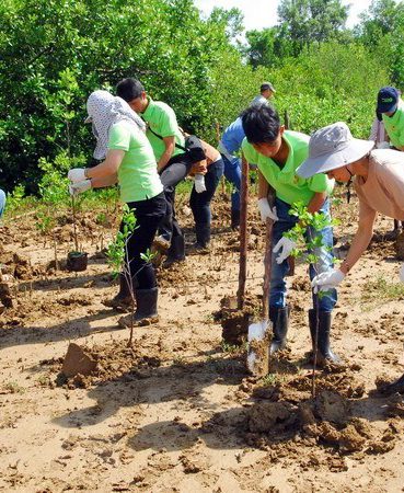 Chỉ 4,2% doanh nghiệp niêm yết công bố chính sách về bảo vệ môi trường