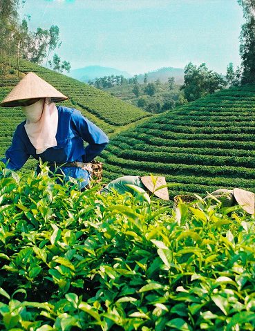 Phí thẩm định kinh doanh nông nghiệp cao nhất là 18 triệu đồng/lần